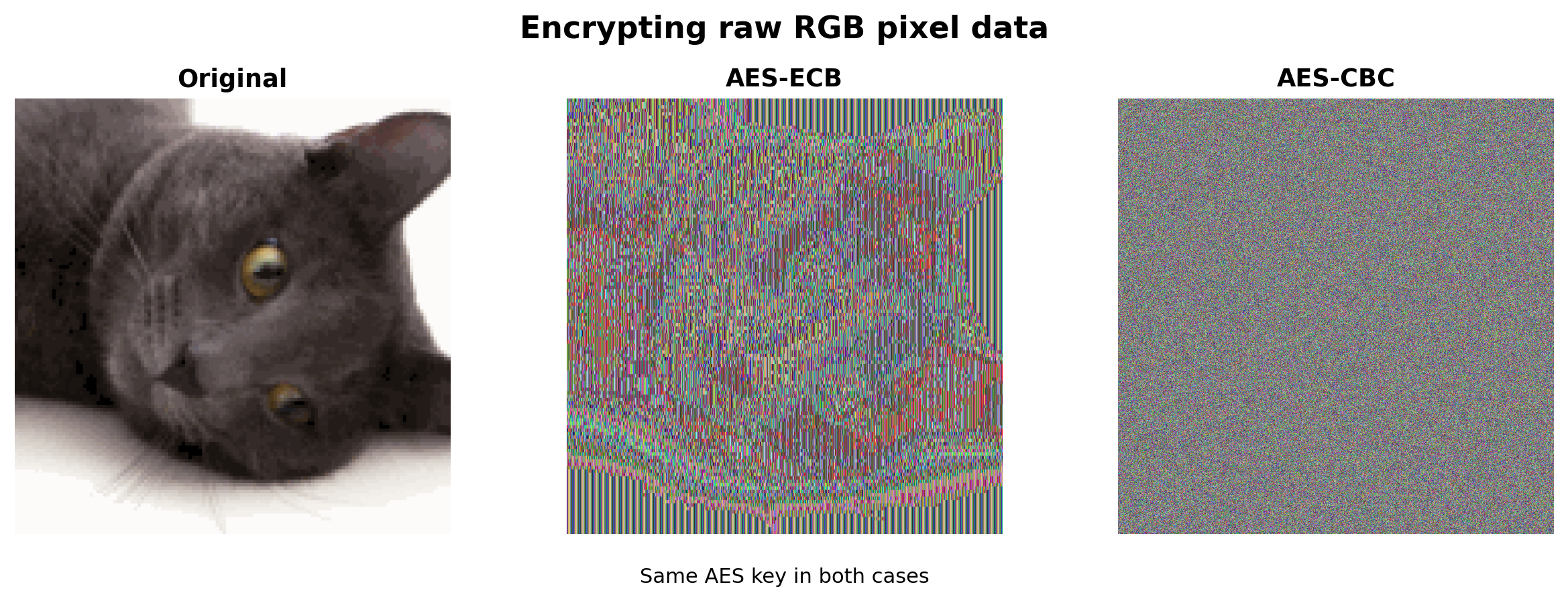 Daily AlpacaHack: AES is dead Writeup featured image