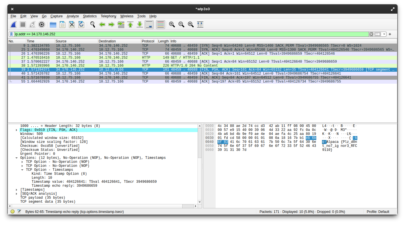 AlpacaHack Daily: No Content Writeup preview